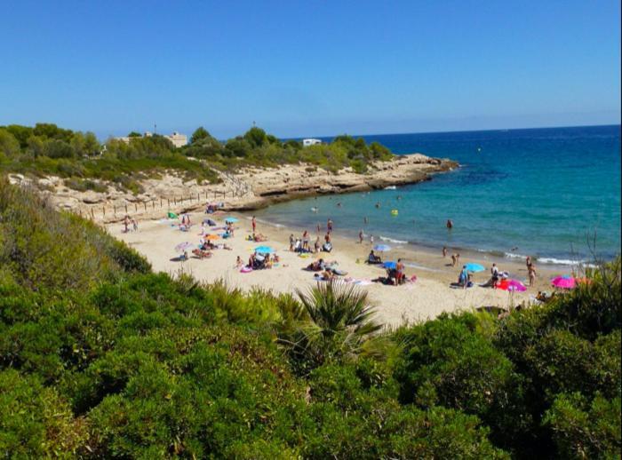 Estudio I Ideal Para Parejas En La Playa Alguer 라메틀라 데 마르 외부 사진