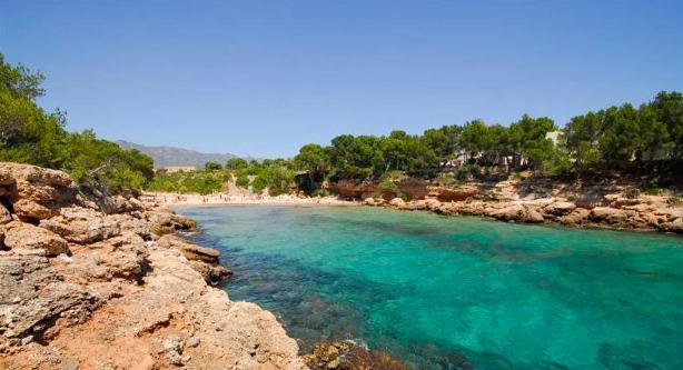 Estudio I Ideal Para Parejas En La Playa Alguer 라메틀라 데 마르 외부 사진